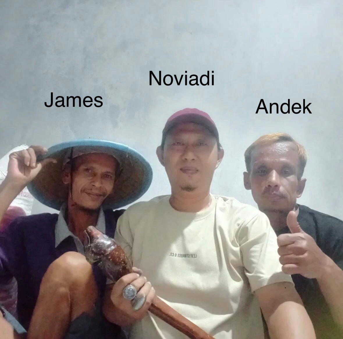 Andek