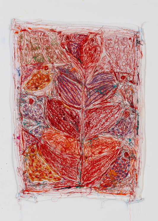 Tajsar Jafari | Cotton Garden